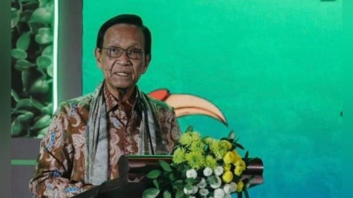 Judi Online Marak, Raja Keraton Yogyakarta Sultan HB X: Candu, Tak Ada Peluang Menang