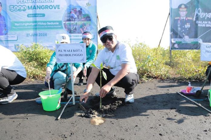 Penanaman 5.000 Mangrove di Probolinggo Jadi Pembukan Gelaran Peringati Dua Hari Besar Nasional