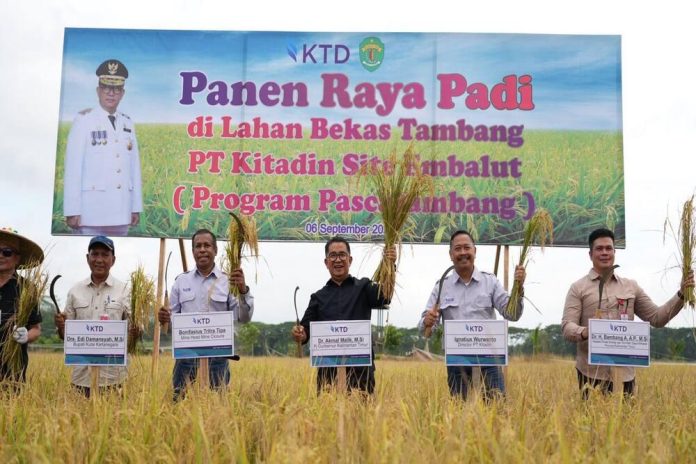 Pj Gubernur Kaltim Panen Padi di Lahan Eks Tambang