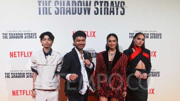 Masuk Top 10 Netflix, Film The Shadow Strays Trending di 85 Negara