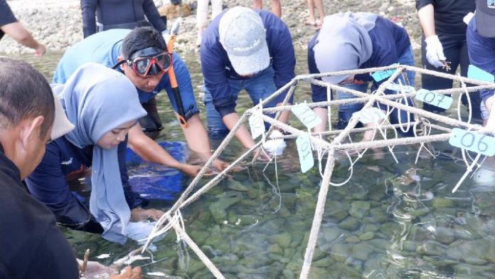 PNM Gandeng Pemuda untuk Konservasi Terumbu Karang di Ambon