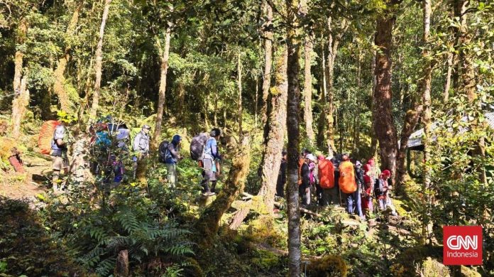 Jasad Pendaki Bogor di Gunung Binaiya Ditemukan di Kedalaman 80 Meter
