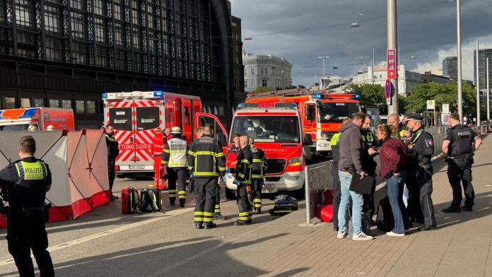 Penikaman Teror Stasiun Hamburg Jerman, 12 Orang Luka