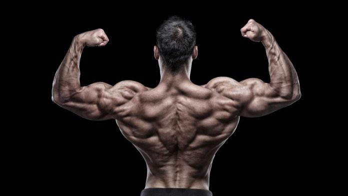 Viral Atlet Binaraga Malang Terpaksa Makan Ayam Tiren