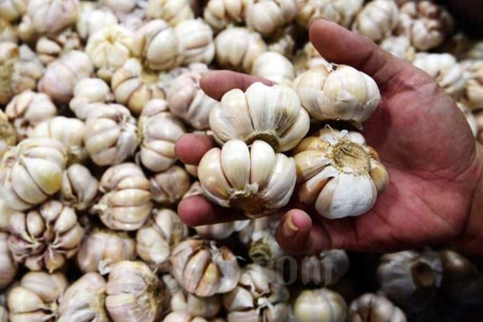 Bawang Putih Mahal, Kemendag Diminta Tindak Tegas Importir Nakal!