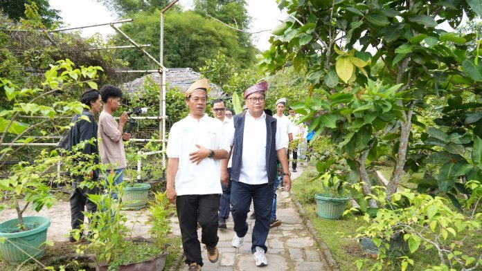 Pacu Pertumbuhan Ekonomi Masyarakat, BP Batam Dorong Pengembangan Agrowisata dan Wisata Bahari - BP Batam