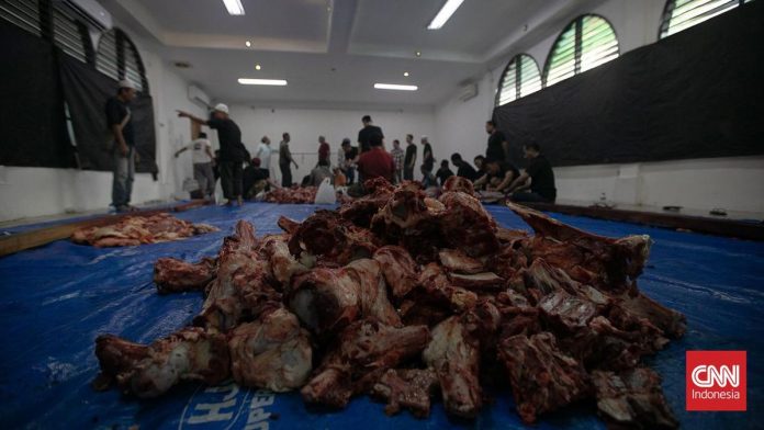 Tradisi Unik 'Manampuang', Bagi Daging Kurban Tanpa Kupon di Agam