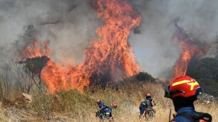 FOTO: Kebakaran Hutan 'Hanguskan' Yunani Imbas Gelombang Panas
