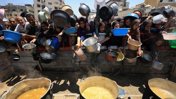 WHO: Kasus Malnutrisi di Gaza Sangat Berbahaya, Kematian Melonjak