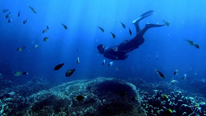 Dampak Konflik AS-Iran Jadi Ancaman 'Kiamat' Bagi Ekosistem Laut Ini