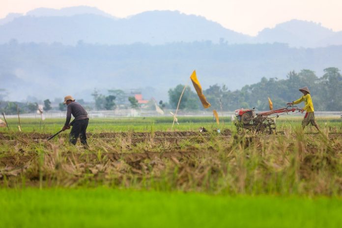 Jateng Perkuat Infrastruktur Pertanian Antisipasi Puncak Kemarau