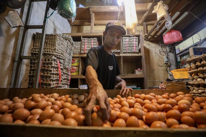 Kenaikan Harga Telur &amp; Daging Ayam Bebani Pengusaha Katering di Cirebon